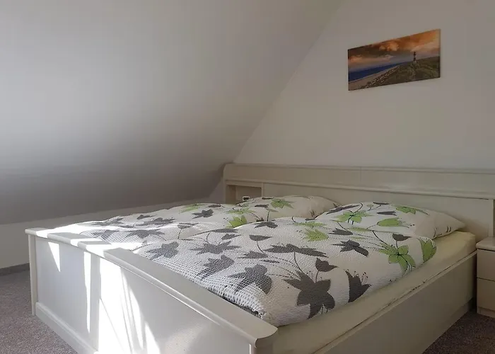 Luetje Hoern 多纳莫塞尔